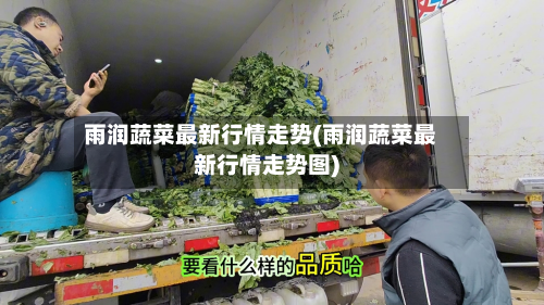 雨润蔬菜最新行情走势(雨润蔬菜最新行情走势图)-第2张图片