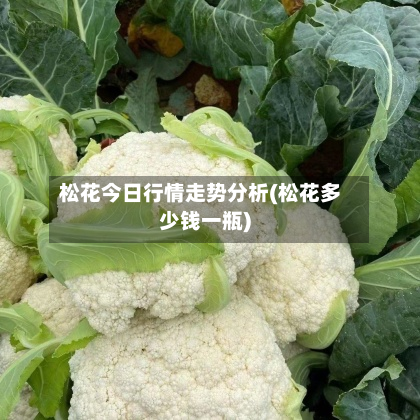 松花今日行情走势分析(松花多少钱一瓶)-第2张图片