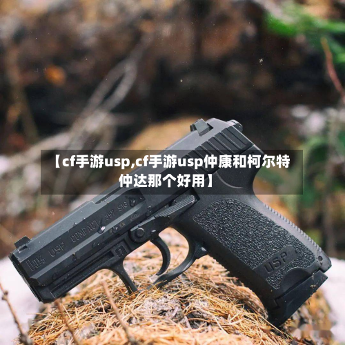 【cf手游usp,cf手游usp仲康和柯尔特仲达那个好用】-第3张图片