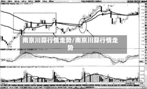 南京川蒜行情走势/南京川蒜行情走势-第2张图片