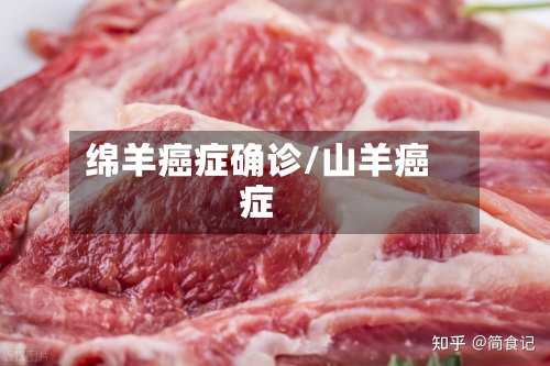 绵羊癌症确诊/山羊癌症-第2张图片