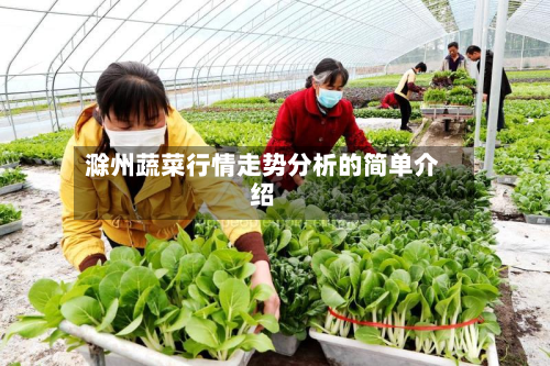滁州蔬菜行情走势分析的简单介绍