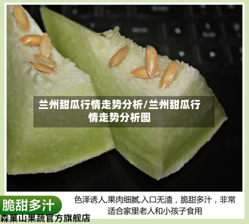 兰州甜瓜行情走势分析/兰州甜瓜行情走势分析图-第3张图片