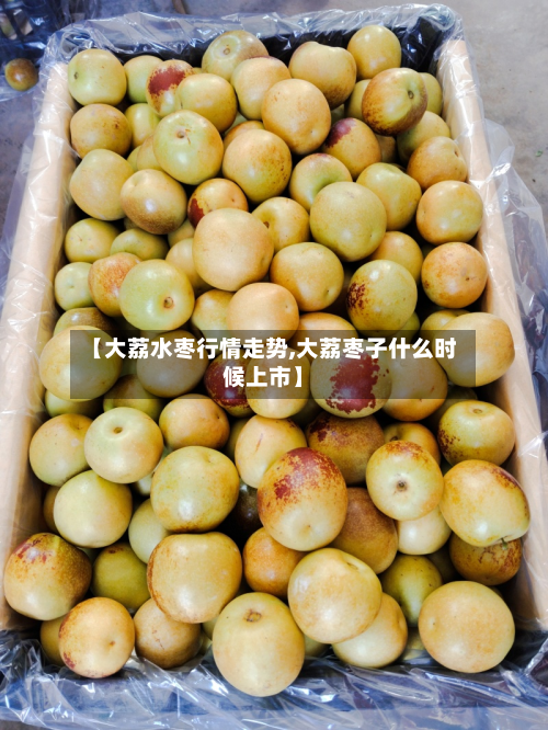【大荔水枣行情走势,大荔枣子什么时候上市】-第2张图片