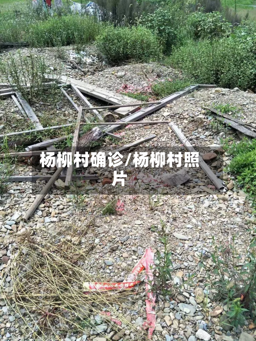 杨柳村确诊/杨柳村照片