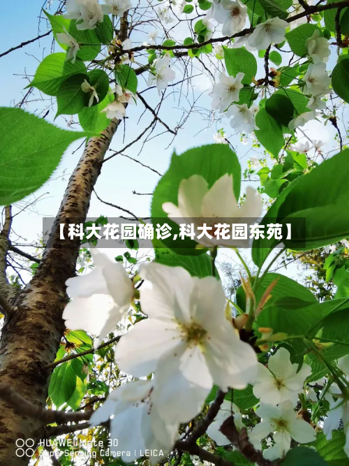 【科大花园确诊,科大花园东苑】