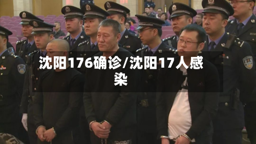 沈阳176确诊/沈阳17人感染-第2张图片