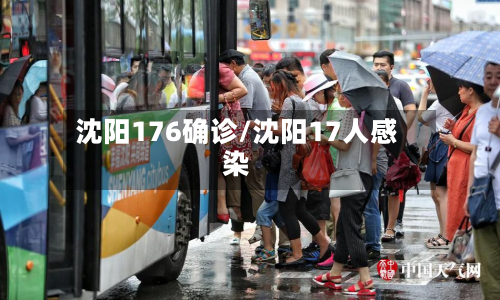 沈阳176确诊/沈阳17人感染