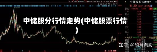 中储股分行情走势(中储股票行情)