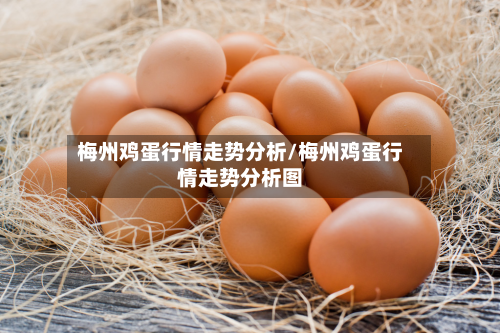 梅州鸡蛋行情走势分析/梅州鸡蛋行情走势分析图-第2张图片