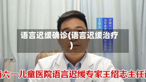 语言迟缓确诊(语言迟缓治疗)-第2张图片
