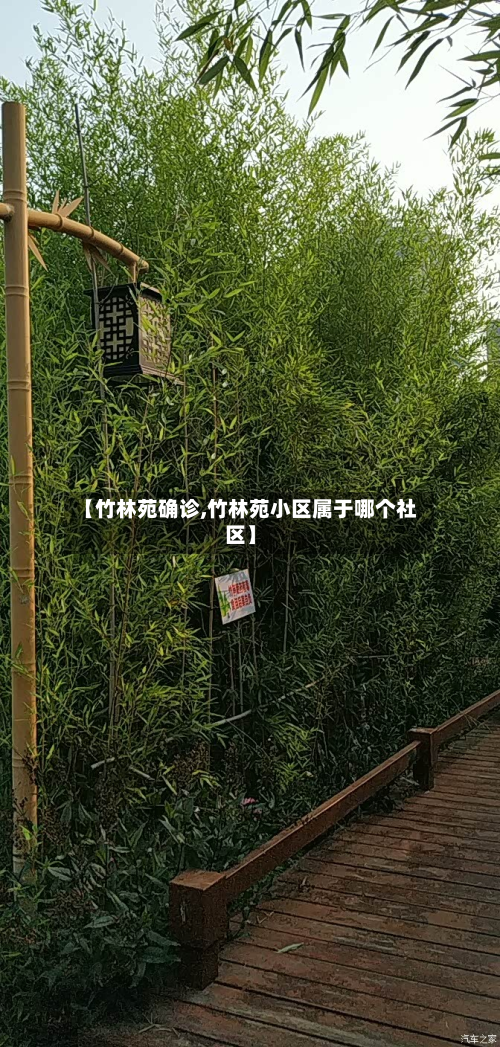 【竹林苑确诊,竹林苑小区属于哪个社区】-第3张图片