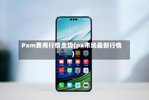 Pxm费用行情走势(px市场最新行情)-第2张图片
