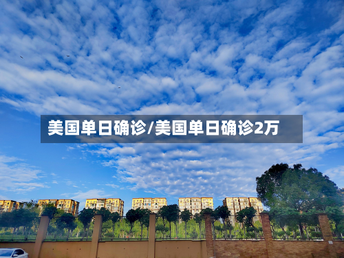 美国单日确诊/美国单日确诊2万-第3张图片