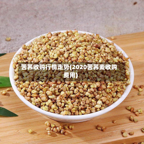 苦荞收购行情走势(2020苦荞麦收购费用)