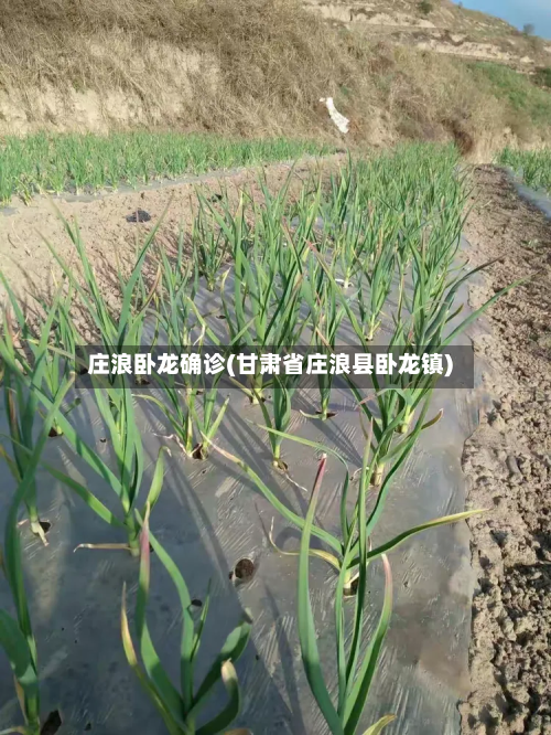 庄浪卧龙确诊(甘肃省庄浪县卧龙镇)