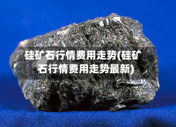 硅矿石行情费用走势(硅矿石行情费用走势最新)