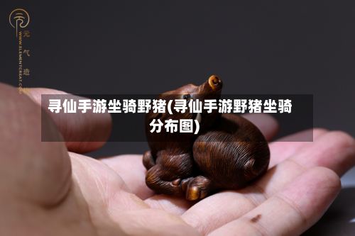 寻仙手游坐骑野猪(寻仙手游野猪坐骑分布图)