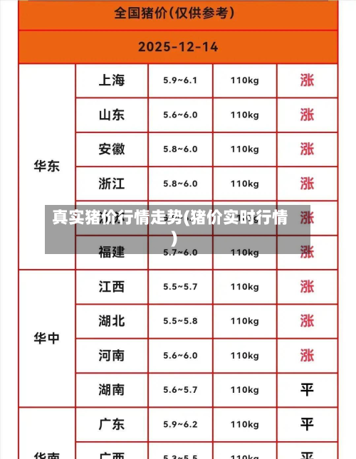 真实猪价行情走势(猪价实时行情)