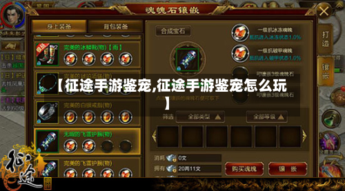 【征途手游鉴宠,征途手游鉴宠怎么玩】