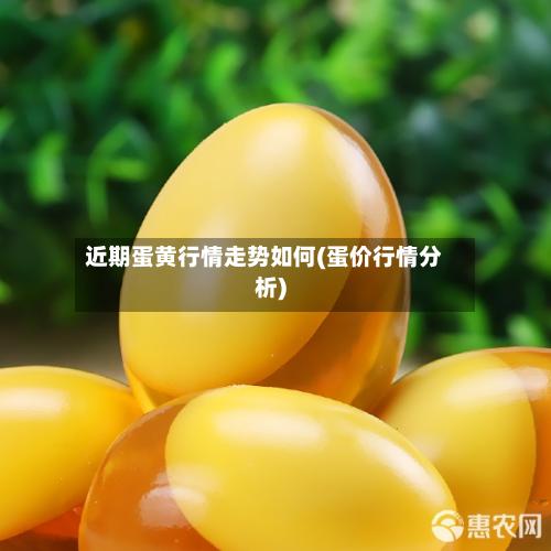 近期蛋黄行情走势如何(蛋价行情分析)-第3张图片
