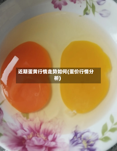 近期蛋黄行情走势如何(蛋价行情分析)-第2张图片