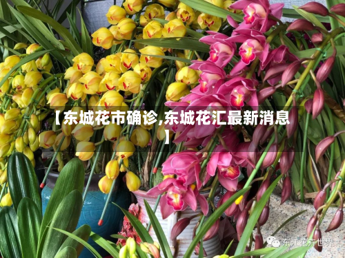 【东城花市确诊,东城花汇最新消息】