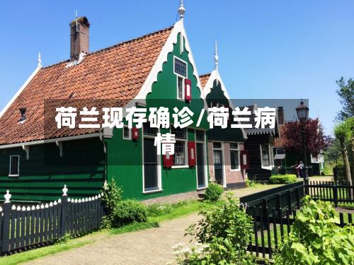 荷兰现存确诊/荷兰病情