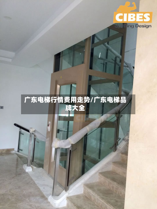 广东电梯行情费用走势/广东电梯品牌大全