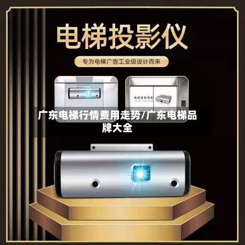 广东电梯行情费用走势/广东电梯品牌大全-第2张图片