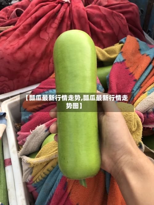 【瓢瓜最新行情走势,瓢瓜最新行情走势图】