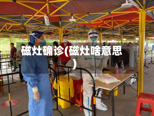 磁灶确诊(磁灶啥意思)-第2张图片