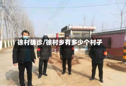徐村确诊/徐村乡有多少个村子-第2张图片