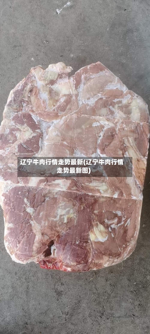 辽宁牛肉行情走势最新(辽宁牛肉行情走势最新图)