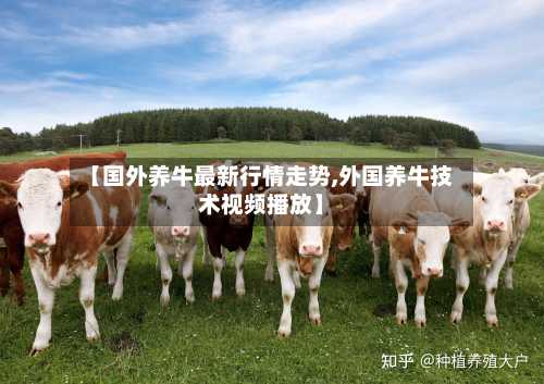 【国外养牛最新行情走势,外国养牛技术视频播放】