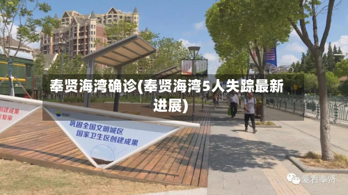 奉贤海湾确诊(奉贤海湾5人失踪最新进展)-第2张图片