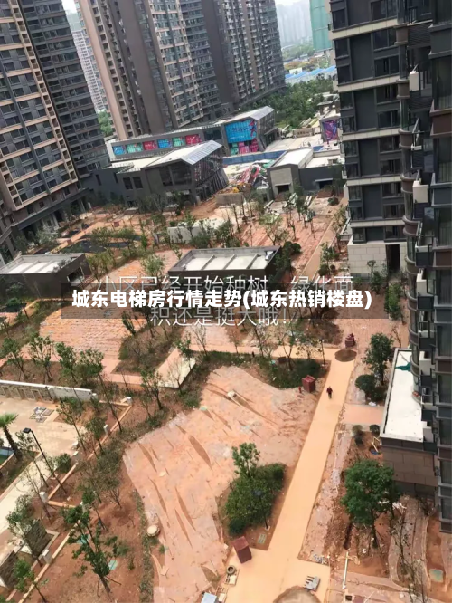 城东电梯房行情走势(城东热销楼盘)