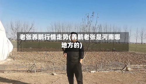 老张养鹅行情走势(养鹅老张是河南哪地方的)