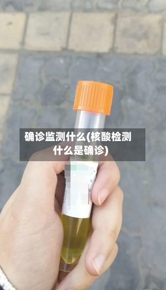 确诊监测什么(核酸检测什么是确诊)-第3张图片