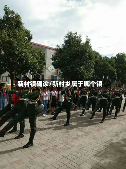 新村镇确诊/新村乡属于哪个镇-第3张图片