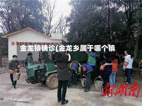 金龙镇确诊(金龙乡属于哪个镇)