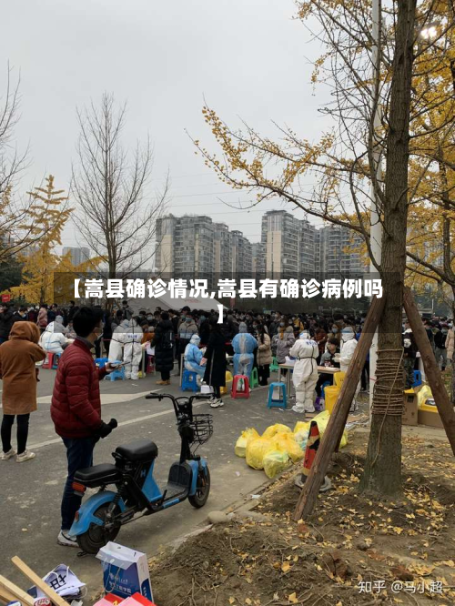 【嵩县确诊情况,嵩县有确诊病例吗】