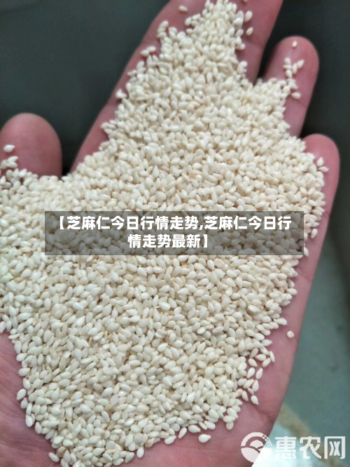 【芝麻仁今日行情走势,芝麻仁今日行情走势最新】-第3张图片