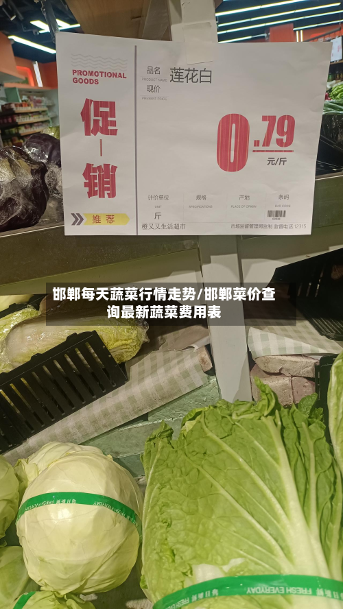邯郸每天蔬菜行情走势/邯郸菜价查询最新蔬菜费用表