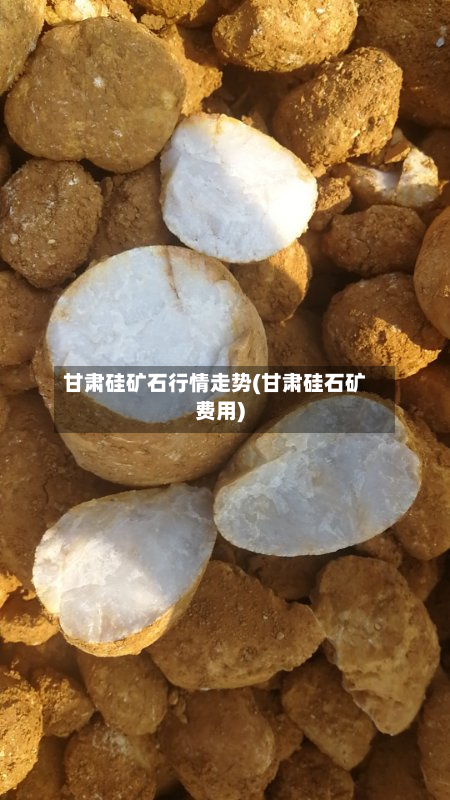 甘肃硅矿石行情走势(甘肃硅石矿费用)-第2张图片