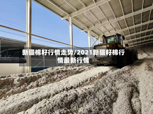 新疆棉籽行情走势/2021新疆籽棉行情最新行情-第2张图片