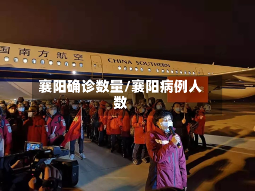 襄阳确诊数量/襄阳病例人数-第3张图片