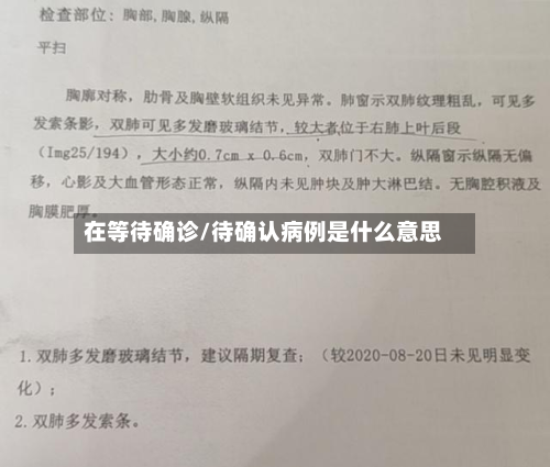 在等待确诊/待确认病例是什么意思