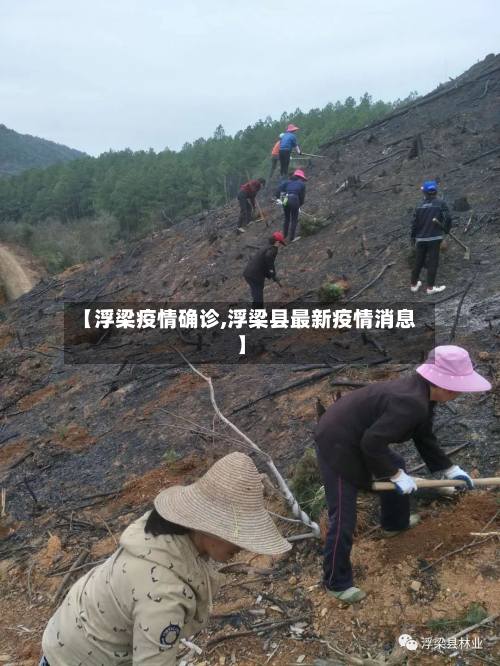 【浮梁疫情确诊,浮梁县最新疫情消息】-第2张图片