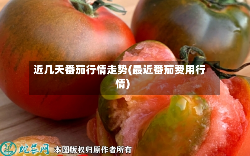 近几天番茄行情走势(最近番茄费用行情)-第3张图片